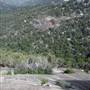 Warwick Region - Girraween National Park