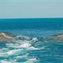 Hardy Reef