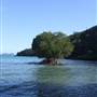 Hook Island
