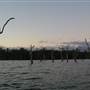 Lake Tinaroo