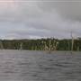 Lake Tinaroo