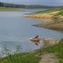 Lake Tinaroo