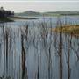 Lake Tinaroo