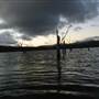 Lake Tinaroo