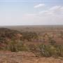 Longreach Landscape