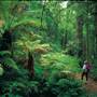 Main Range National Park