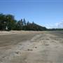 Midge Point Beach