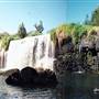 Millstream Falls (FNQ)