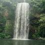 Millaa Millaa Falls