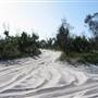 Mulgumpin (Moreton Island)