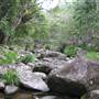Mossman Gorge
