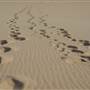Mulgumpin (Moreton Island)