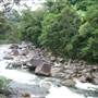 Mossman Gorge