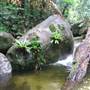 Mossman Gorge