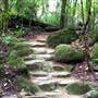 Mossman Gorge