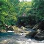 Mossman Gorge