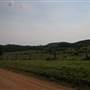 Boonah - Mount French Rds