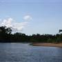 Mulgrave River (Cairns Region)