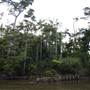 Mulgrave River (Cairns Region)