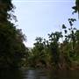 Mulgrave River (Cairns Region)
