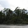 Mulgrave River (Cairns Region)