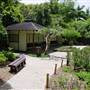 Japanese Garden, Mt Coot-tha Botanical Gardens