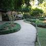 Japanese Garden, Mt Coot-tha Botanical Gardens