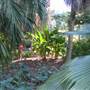 Japanese Garden, Mt Coot-tha Botanical Gardens