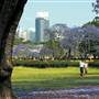 New Farm Park