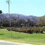 New Farm Park