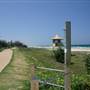 Nobby Beach and Headland