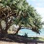 Minjeeribah (North Stradbroke Island) - Overview
