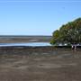 Boondall Wetlands Park