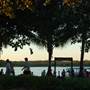Noosa River