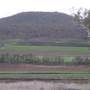 Wheat Fields