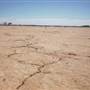 Quilpie Clay Pans
