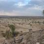 Rangelands Station