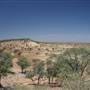 Rangelands Station