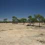 Rangelands Station
