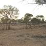 Rangelands Station