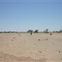 Rangelands Station