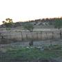 Rangelands Station