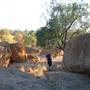 Rangelands Station