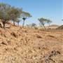 Rangelands Station