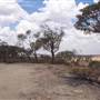Rangelands Station