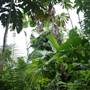Mission Beach (Cairns Region FNQ)