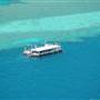 Hardy Reef (Reefworld Plantoon)