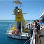 Hardy Reef (Reefworld Plantoon)