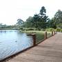 Gold Coast Regional Botanic Gardens - Rosser Park