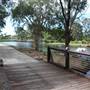 Gold Coast Regional Botanic Gardens - Rosser Park